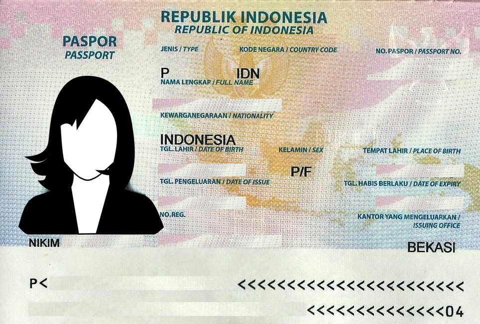visit japan indonesian passport